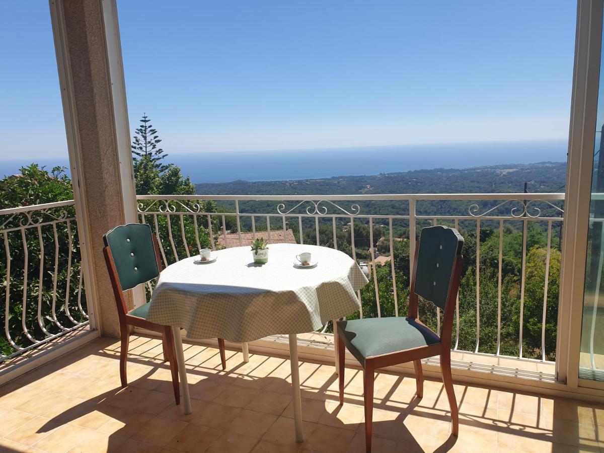 Chambres D'Hote A Caserella, Maison De Village Renovee Avec Vue Sur Mer Valle-di-Campoloro Экстерьер фото