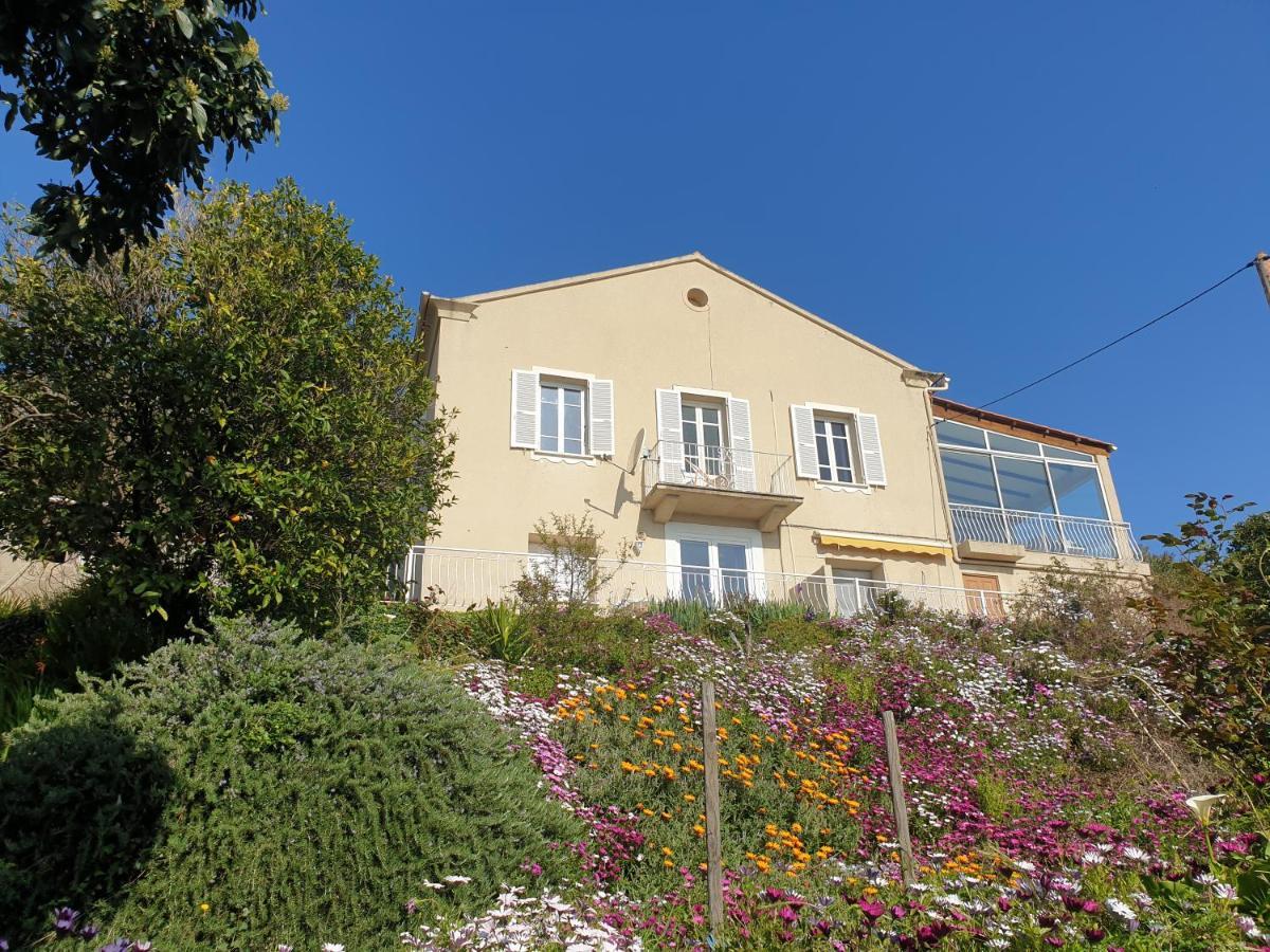 Chambres D'Hote A Caserella, Maison De Village Renovee Avec Vue Sur Mer Valle-di-Campoloro Экстерьер фото